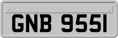 GNB9551