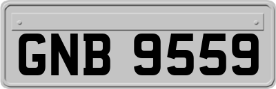 GNB9559