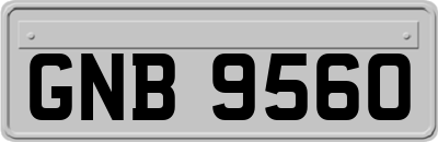 GNB9560