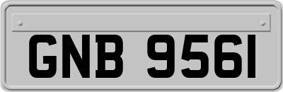 GNB9561