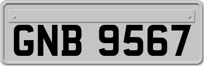 GNB9567