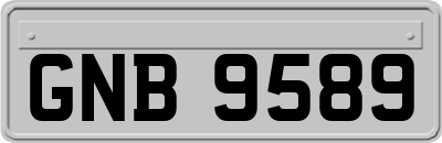 GNB9589