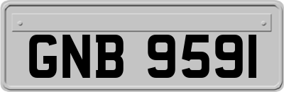 GNB9591