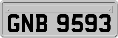 GNB9593