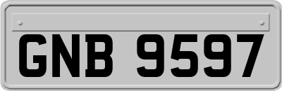 GNB9597