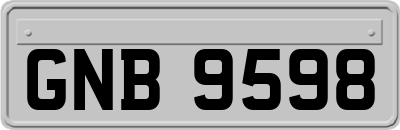 GNB9598