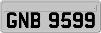 GNB9599