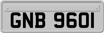 GNB9601