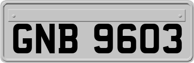 GNB9603