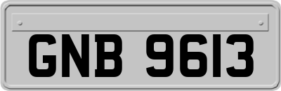 GNB9613