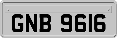 GNB9616