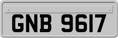 GNB9617