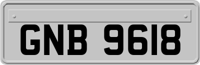 GNB9618