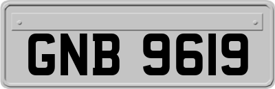 GNB9619
