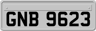 GNB9623