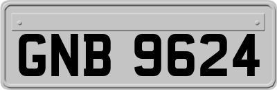 GNB9624