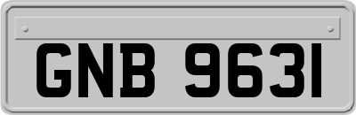 GNB9631