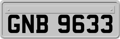 GNB9633
