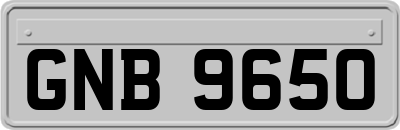 GNB9650