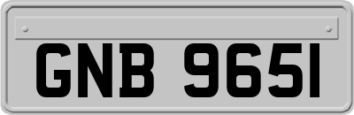 GNB9651