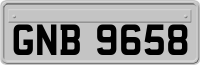 GNB9658
