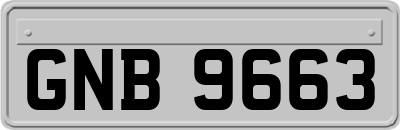 GNB9663