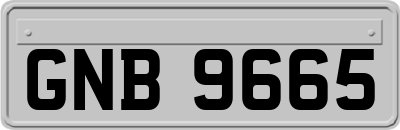 GNB9665