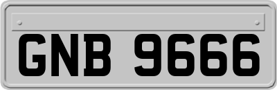 GNB9666