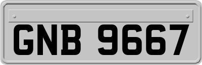 GNB9667