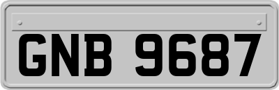 GNB9687