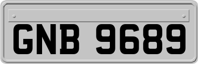 GNB9689