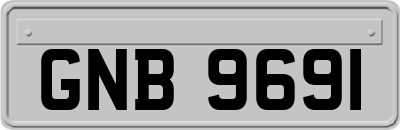 GNB9691
