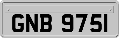 GNB9751