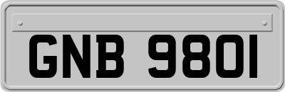 GNB9801
