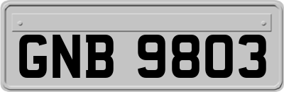 GNB9803