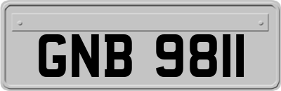 GNB9811