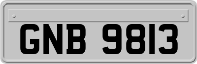 GNB9813