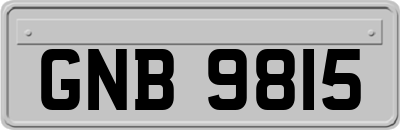 GNB9815