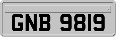 GNB9819