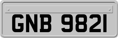 GNB9821