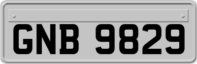 GNB9829