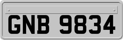 GNB9834