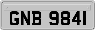 GNB9841