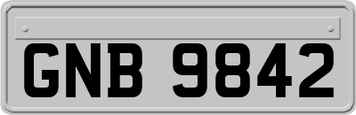 GNB9842