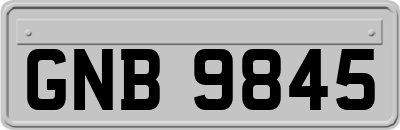 GNB9845