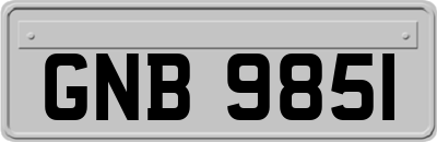 GNB9851