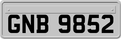 GNB9852