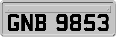 GNB9853