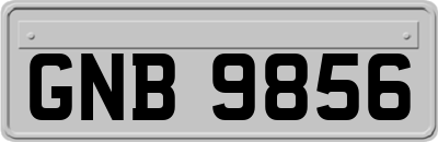 GNB9856