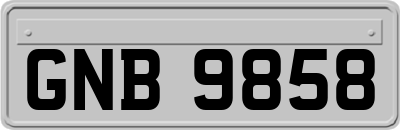 GNB9858